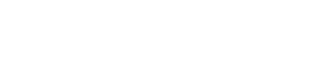 The Digital Professionals